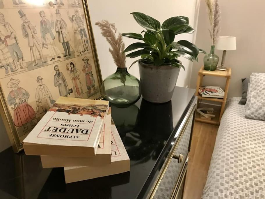 Le Madeline Apartment น็องต์ ภายนอก รูปภาพ
